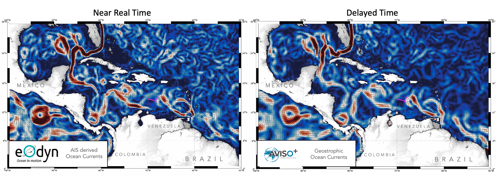 Unveiling Ocean Dynamics: A Comparative Analysis of Currents from Brazil to the Gulf of Mexico