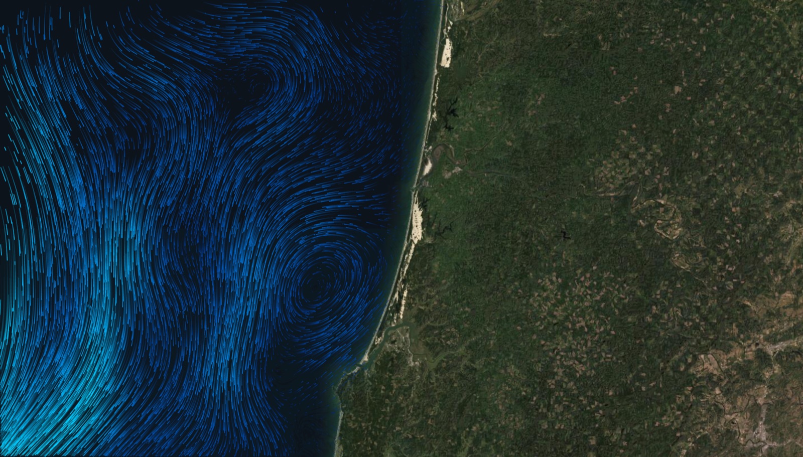 Ocean-current streamlines along a coastline in OceanVibes